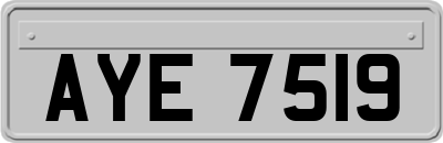 AYE7519