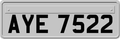 AYE7522