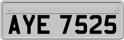 AYE7525