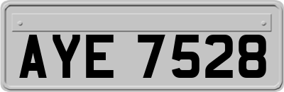 AYE7528