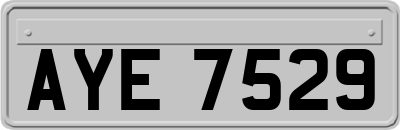 AYE7529