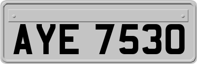 AYE7530