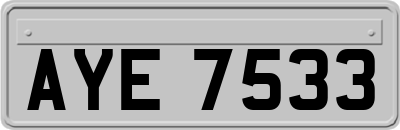 AYE7533