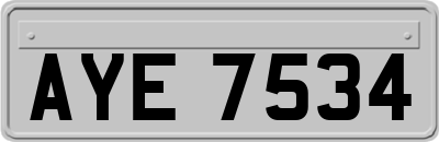 AYE7534