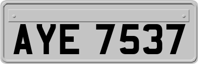 AYE7537