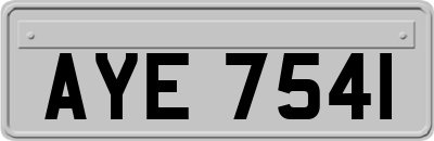 AYE7541