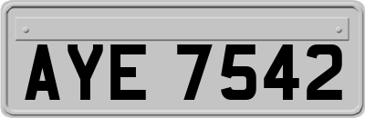 AYE7542