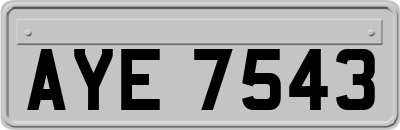 AYE7543