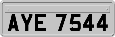 AYE7544