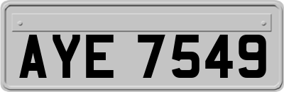 AYE7549