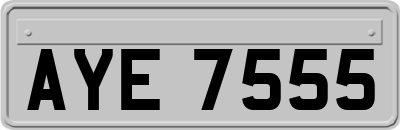 AYE7555