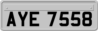AYE7558