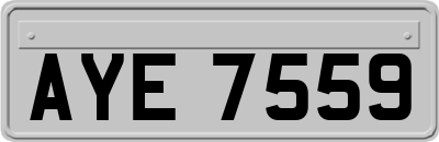 AYE7559