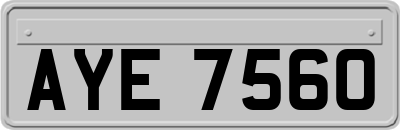 AYE7560