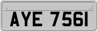 AYE7561