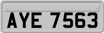 AYE7563