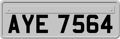 AYE7564