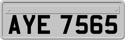AYE7565