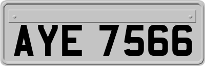 AYE7566