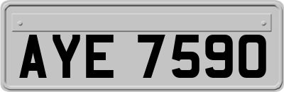 AYE7590