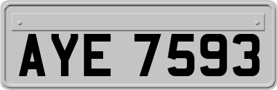 AYE7593