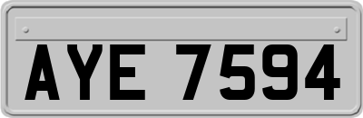 AYE7594