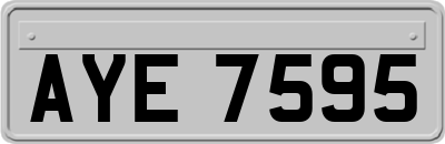 AYE7595