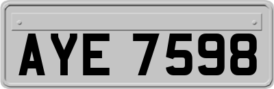 AYE7598