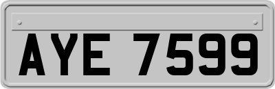 AYE7599