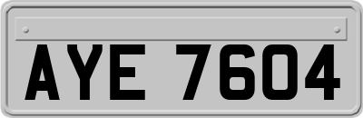 AYE7604