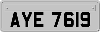 AYE7619