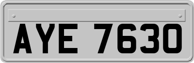 AYE7630