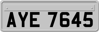 AYE7645