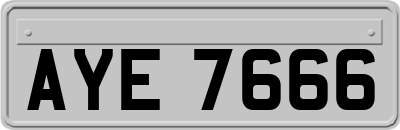 AYE7666
