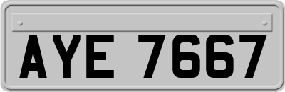 AYE7667