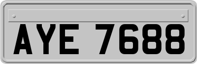 AYE7688