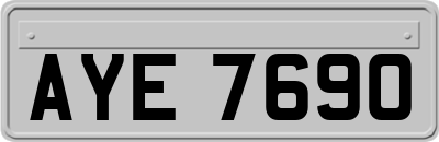 AYE7690