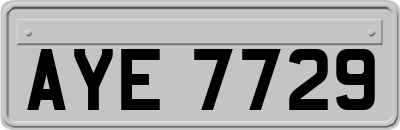 AYE7729