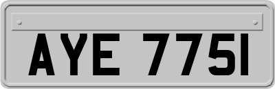 AYE7751