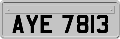 AYE7813