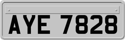 AYE7828