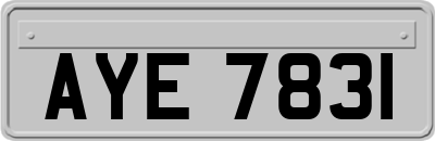 AYE7831