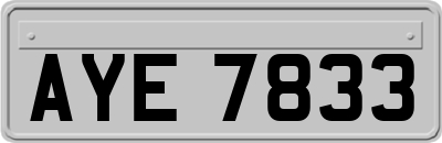 AYE7833