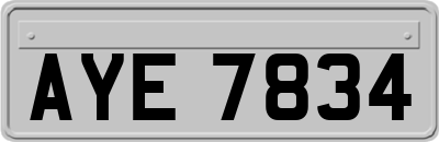 AYE7834