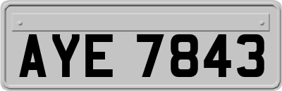 AYE7843