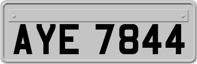 AYE7844