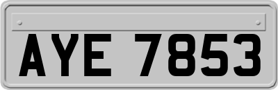 AYE7853
