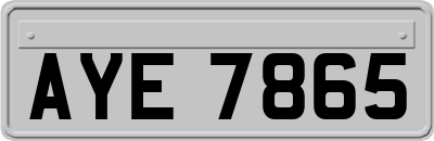 AYE7865