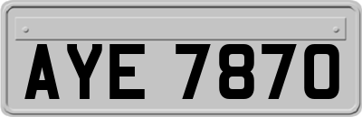 AYE7870