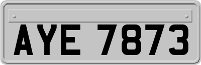AYE7873